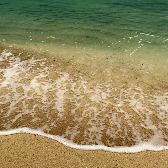 Meet your Posher, Lisa - Picture 1 of 2